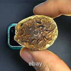 Tektite Colombianite Qualité Haute 1 Piece 31,6 Grammes / 1,11 Oz