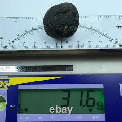 Tektite Colombianite Qualité Haute 1 Piece 31,6 Grammes / 1,11 Oz