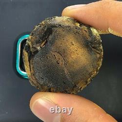 Tektite Colombianite Qualité Haute 1 Piece 35,8 Grammes / 1,26 Oz