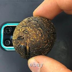 Tektite Colombianite Qualité Haute 1 Piece 36,3 Grammes / 1,28 Oz