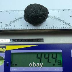 Tektite Colombianite Qualité Haute 1 Piece 44,4 Grammes / 1,56 Oz