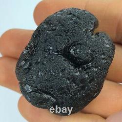 Tektite Colombianite Qualité Haute 1 Piece 52,1 Gramme / 1,83 Oz