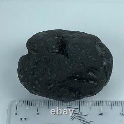 Tektite Colombianite Qualité Haute 1 Piece 52,1 Gramme / 1,83 Oz