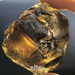 Tektite Colombianite Qualité Haute 1 Piece 99,6 Grammes / 3,51 Oz