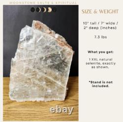 XXL Cristal de Sélénite Brut Pièce Déclaration Jumbo Pierre de Divination Naturelle